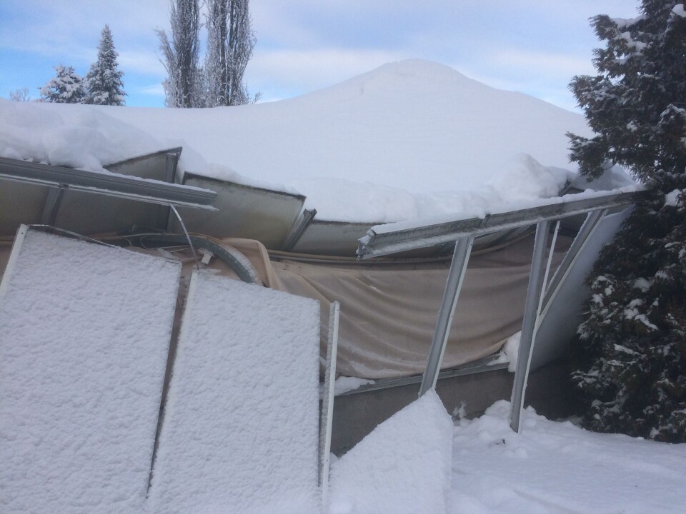Veksthuset på Kirkenær som i vår skulle vært fylt med jord og små spirer, kollapset og ble trolig totalskadd.Foto: Inger Frette