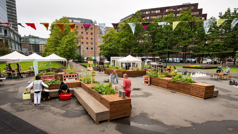 Fra hard asfalt til spiselige planter i Vaterlandsparken Fra hard asfalt til spiselige planter i Vaterlandsparken