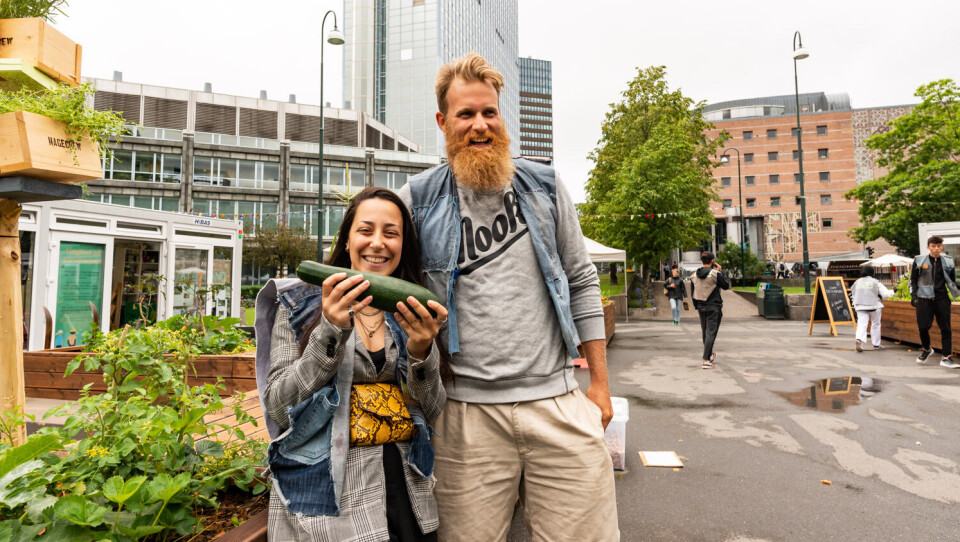Squash-høsten har vært kjempegod i sommer for Chadia Talhioui og Mathias Storm Michelsen i Hagecrew.