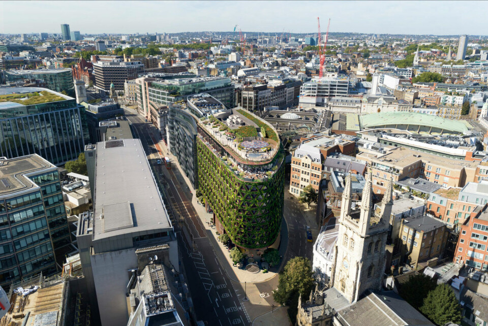 Europas største grønne vegg skal bedre London-lufta