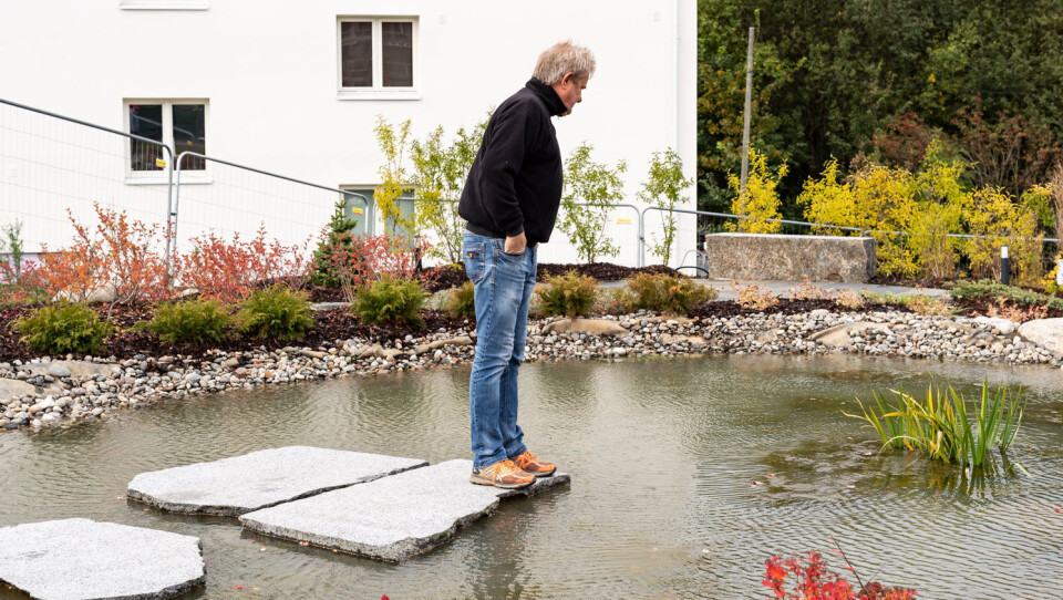 Styremedlem Rune Edstrøm er svært fornøyd med at borettslaget har fått et flott damanlegg der han kan gå ut og se på fiskene.