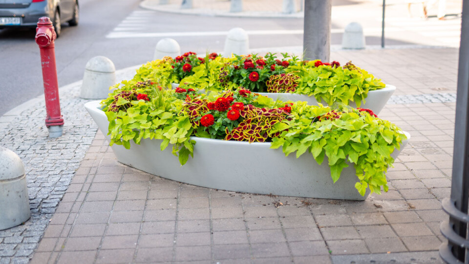 Siden Gdynia er den største havnebyen i Polen, er plantekassene naturligvis støpt som båter. Kreativt!