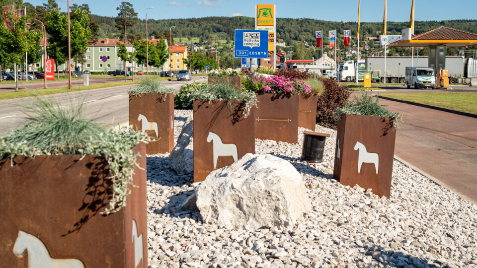 Sånn kan det se ut i midtrabatt mellom to veier – i Sverige.