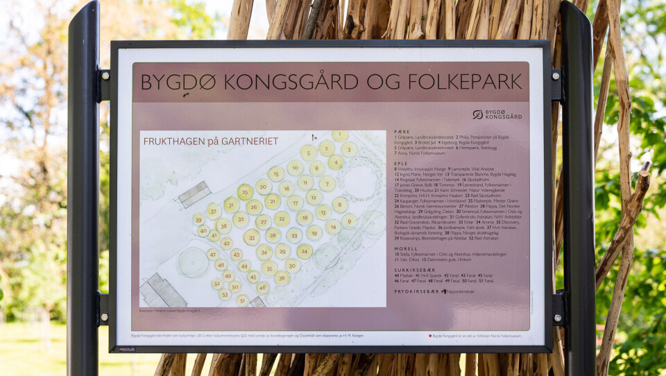 Gartneriet på Bygdø Kongsgård skal bli et senter for urbant landbruk, der det blant annet er tatt vare på en rekke ulike frukttrær fra ulike steder.