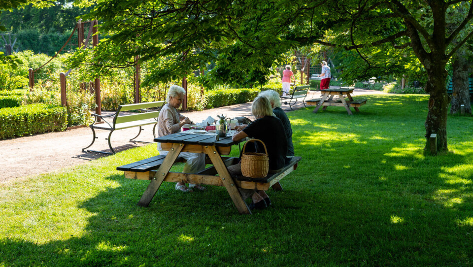 Folk koser seg i denne svenske parken.