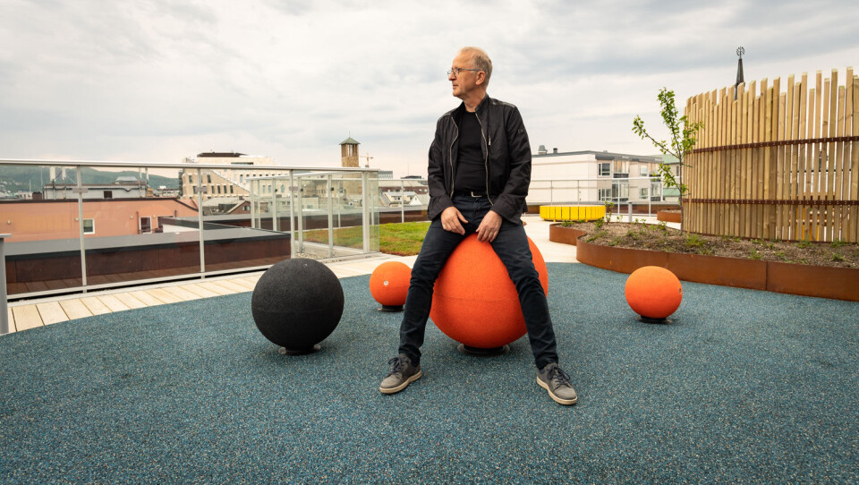 LUFTIG: Anleggsgartnermester Svein Erik Johansen tok med Utemiljø på en hyggelig tur rundt i Bodø.