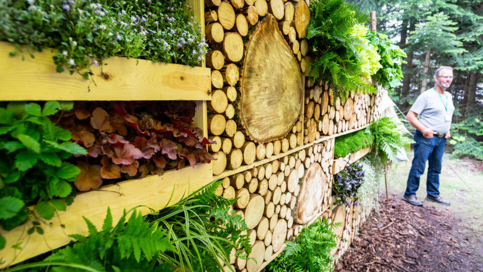 Slik kan du også utnytte veggene i hagen, med både insekthotell og skyggetålende planter.