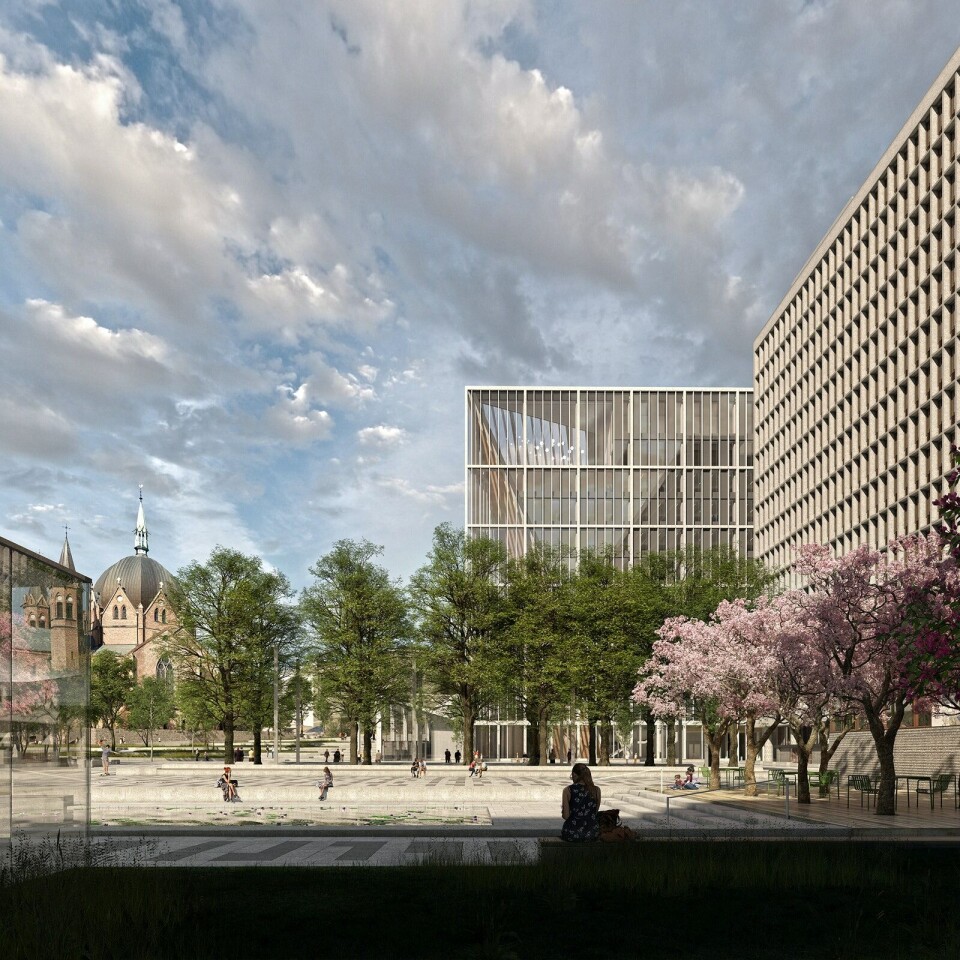 Rundt Lindealléen foran Høyblokken skal eksisterende trær beskyttes, vedlikeholdes og skjøttes underveis i byggeperioden.
