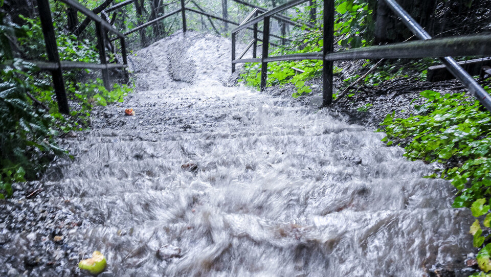 Mer regn kan gi økte inntekter