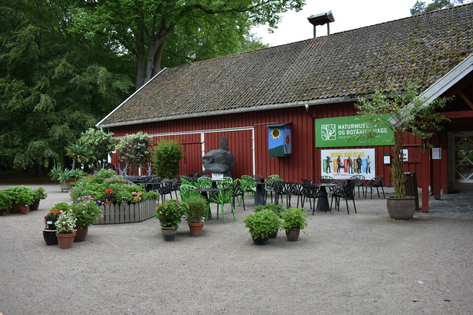 Universitetet i Agder, Naturmuseum og botanisk hage Universitetet i Agder, Naturmuseum og botanisk hage