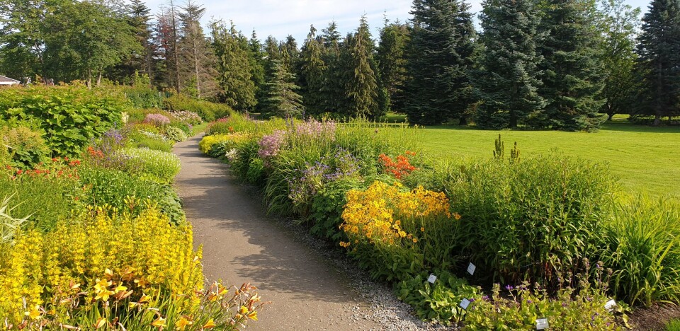 Ringve botaniske hage, NTNU Vitenskapsmuseet