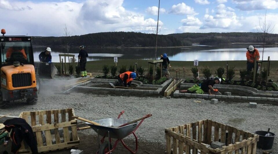 Skolelaget til Kalnes vgs ved Arne Hangerhagen og Johanne Elida Kalager vant NM i anleggsgartnerfag våren 2019. (Foto: NAML -Norske anleggsgartnere – miljø- og landskapsentreprenører) Skole-NM i anleggsgartnerfag