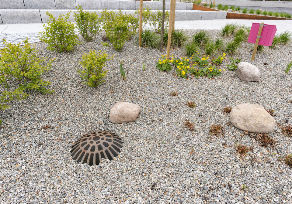 Regnbed er bygd opp slik at de fordrøyer vannet før det ledes til et fordrøyningsbasseng under bakken.