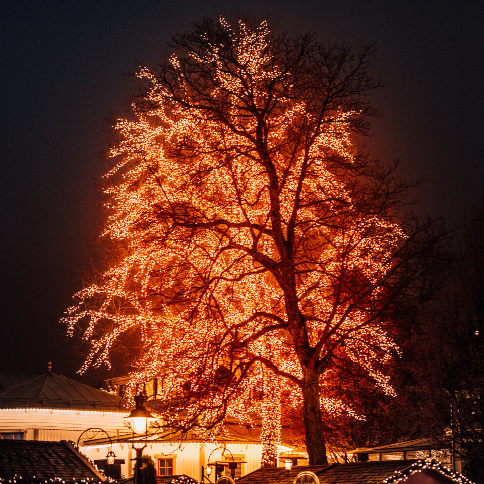 I fornøyelsesparken Liseberg tennes tusenvis av julelys hvert eneste år. I år er parken stengt, men lysene er tent likevel.