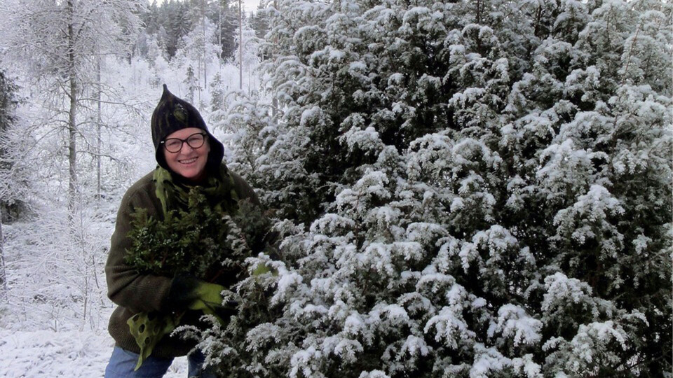 I gamle dager ble einer brukt til rengjøring, i genever og gin og til matlaging ifølge Kari Rudi. Selv liker hun å binde einerkranser til jul. Einerbusk til kos og nytte