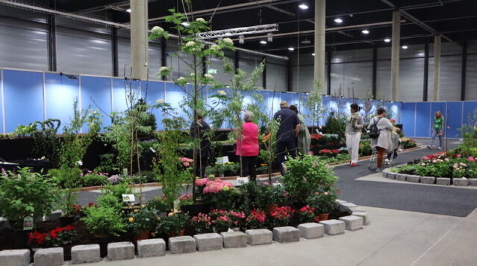 I sommer skal vi kose oss ute!