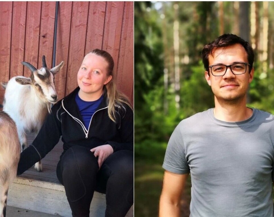 Bryllupsgave ble attåtnæring