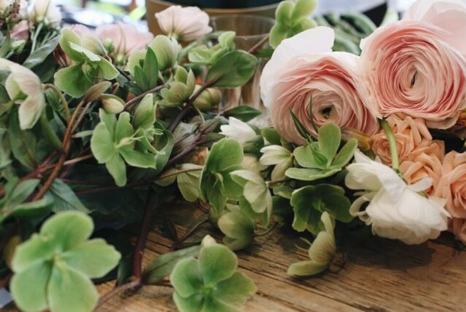 Bestem deg i dag – søk i morgen! Bestem deg i dag – søk i morgen!