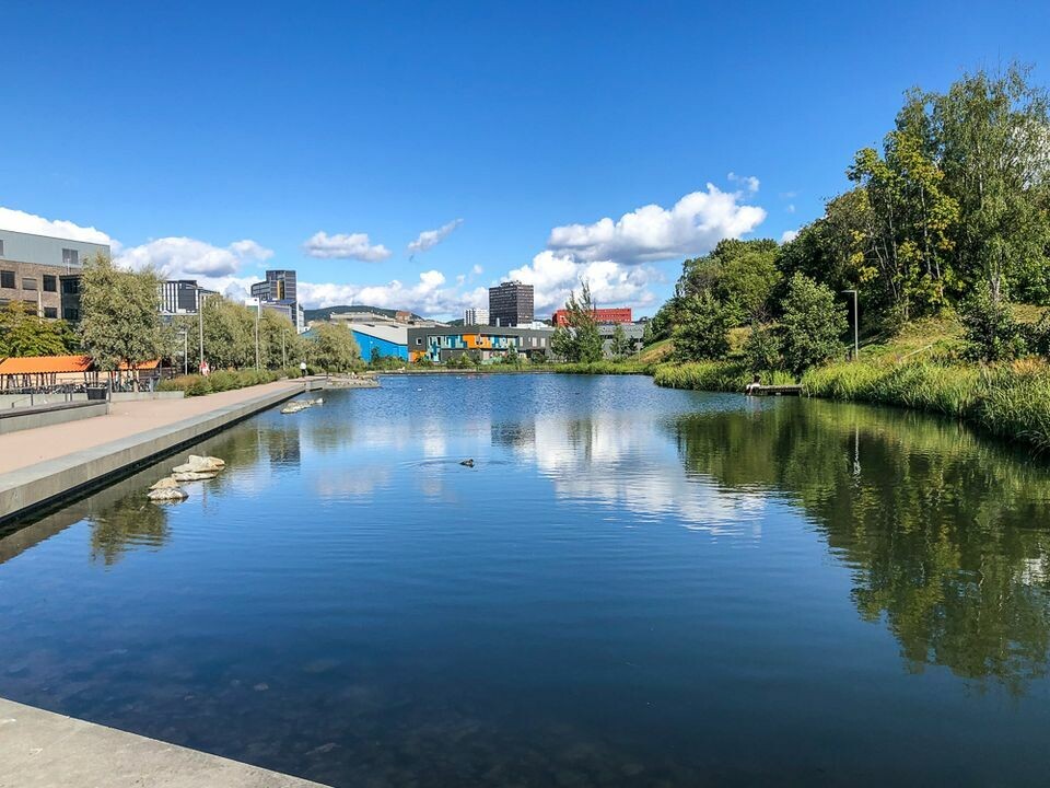 LURT: Åpningen av Hovinbekken har skapt et nytt rekreasjonsområde i Oslo. Gjenåpning av bekker kan bidra til bedre håndtering av overvann, forbedret vannkvalitet og legge til rette for naturmangfold (Foto: Isabel Seiffert-Dähn). Løsningene ligger i naturen