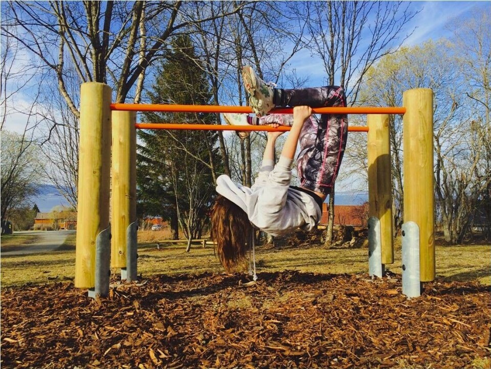 UTETRIMMEN: Store og små benytter seg av de tretten trimparkene i Trondheim. Dette bildet er fra parken ved Theisendammen. (Foto: Bård S. Solem/Trondheim kommune Trim for alle i Trondheim