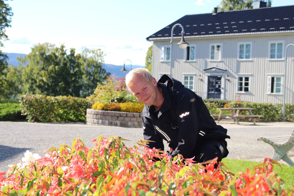 Fra elektro til planter