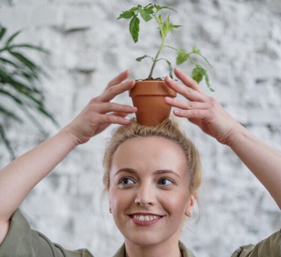 Humor kan gi psykologisk trygghet på arbeidsplassen. (Foto: Pexels) Latter lønner seg