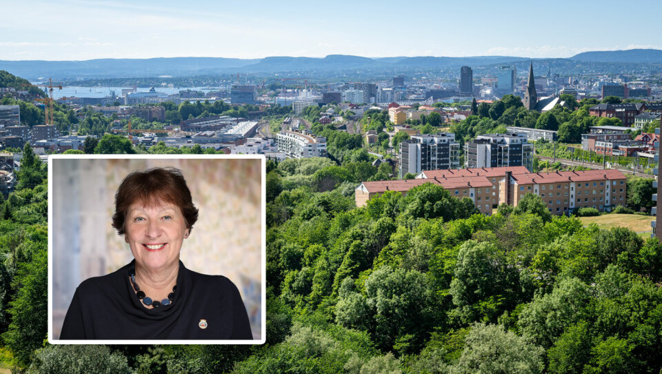 Mål for Oslo: Ingen gate uten gatetrær! Mål for Oslo: Ingen gate uten gatetrær!