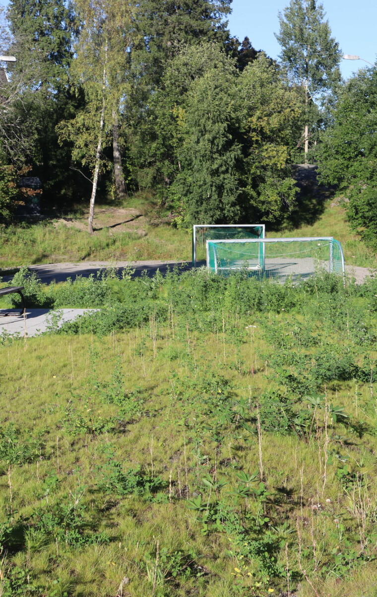 Her spilte de fotball, her satt ungdommene i gresset og pratet - eller flørtet. Nå er det helt stille og tomt på friområdet i Lørenskog.