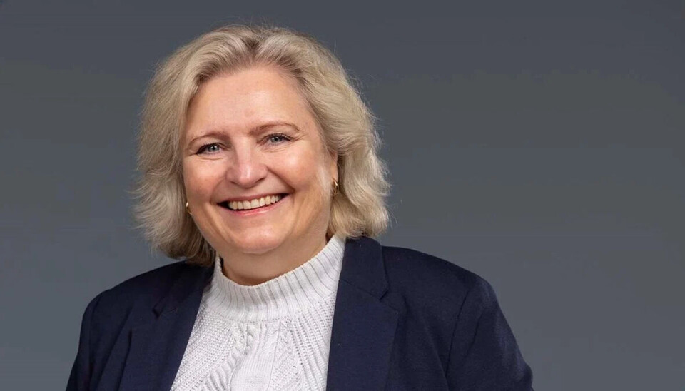 DET HASTER! – Vestre la frem en omfattende mineralstrategi med over 50 tiltakspunkter. Nå må det leveres, for å sikre Norge og Europas forsyningssikkerhet av mineraler vi ikke klarer oss uten, sier generalsekretær Anita Helene Hall i Norsk Bergindustri. (Foto: Norsk Bergindustri)