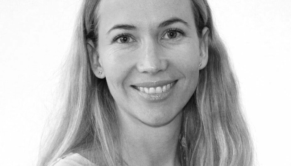 PARADIGMESKIFTE: Eikaas Øvergaard sier vi er inne i et blågrønt paradigmeskifte hvor det jobbes med å sikre flomveier fra rør til åpen overvannshåndtering eller til en kombinasjon av dette.