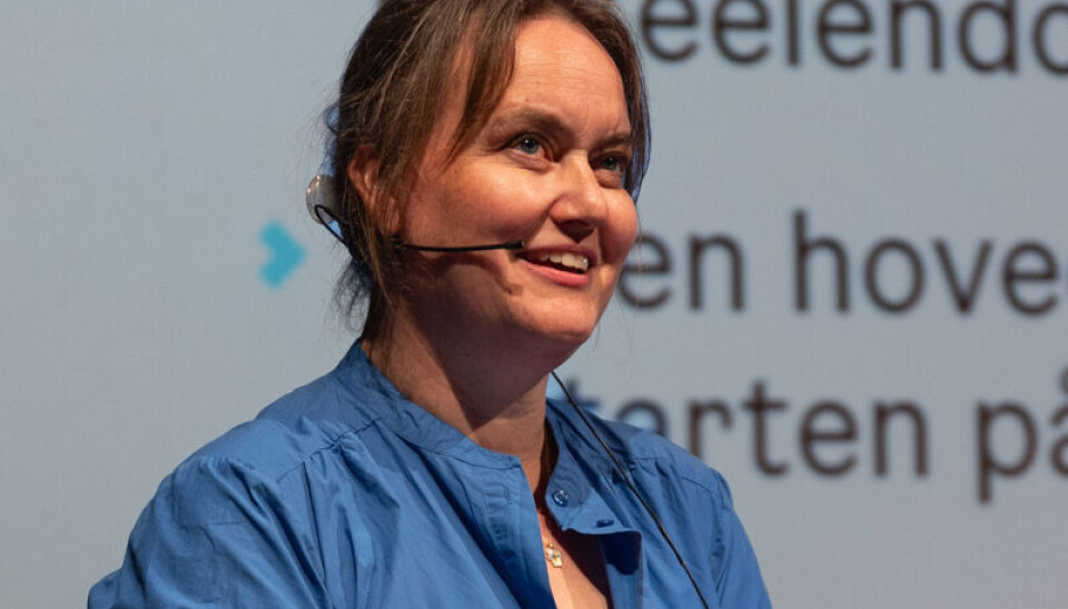 GRØNT I PANNEBRASKEN: Ellen Hole, byantikvar i Oslo, sier hun har det grønne skiftet' langt fremme i pannebrasken': – Bevaring og bærekraft går hånd i hånd og de mest miljøvennlige bygningene er allerede bygget.