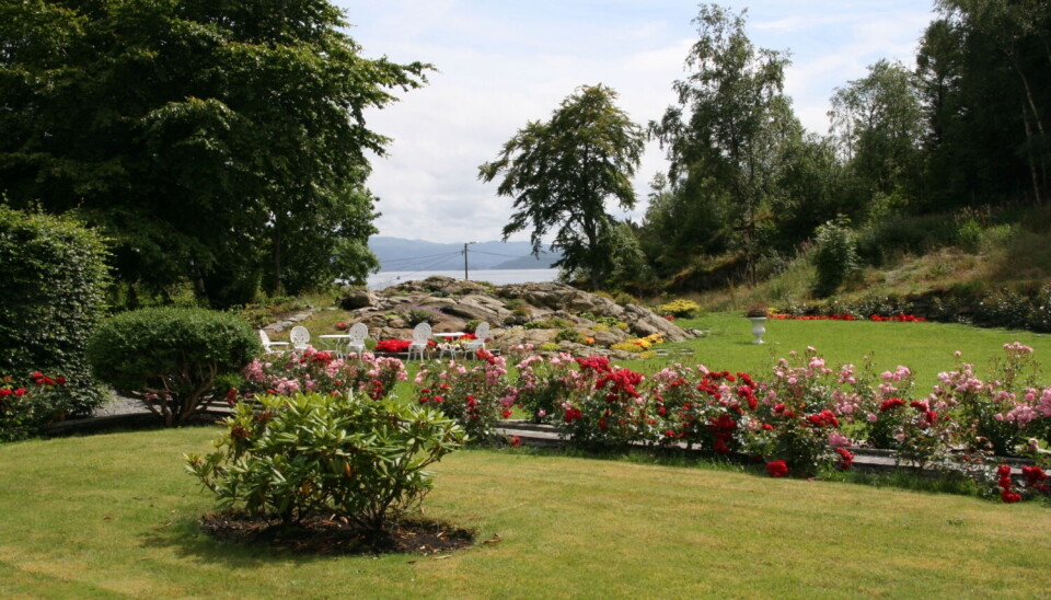 VANN OG LAND: Her er utsikten like vakker enten man skuer utover havet eller beundrer rosehagen.