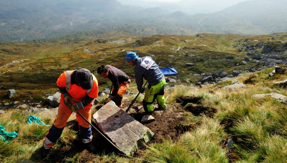 TUNGT ARBEID: Sherpaer i arbeid med trappene mot Hovlandsnuten 931 meter over havet. Fjellfolket fra Nepal er kjent for sin skånsomhet mot naturen. Hensikten med sherpatrappene er å gjøre naturopplevelsene mer tilgjengelige, men også å hindre større slitasje på naturen rundt.