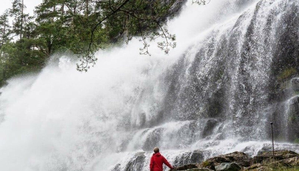 VANN I FRITT FALL: Majestetiske Svandalsfossen ligger langs Nasjonal turistveg Ryfylke rett før Saudasjøen i Sauda. Fossen har et fall på til sammen 180 meter og den øverste delen av fossen har et fritt fall på 40 meter. I 2006 ble det bygget et bro- og trappeanlegg ved Svandalsfossen. Trappene med 552 trinn gir nærkontakt med storfossen og en flott utsikt over Saudasjøen.