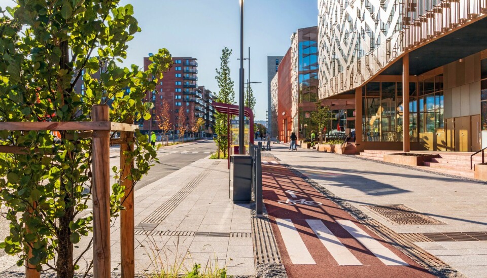 BOULEVARDEN: Skårersletta er blitt Lørenskogs paradegate takket være 3200 tonn norsk naturstein, planter og trær, brede fortau og sykkelvei. Beer Sten har levert egen stein i tillegg til stein produsert av Evjen granitt og Rocks of Norway. Nannestad Grøntmiljø har levert trær og planter. Byggherre er Lørenskog kommune som har brukt konsulentselskapene Cowi og Peab til prosjekteringen av Skårersletta i samspillsfasen.