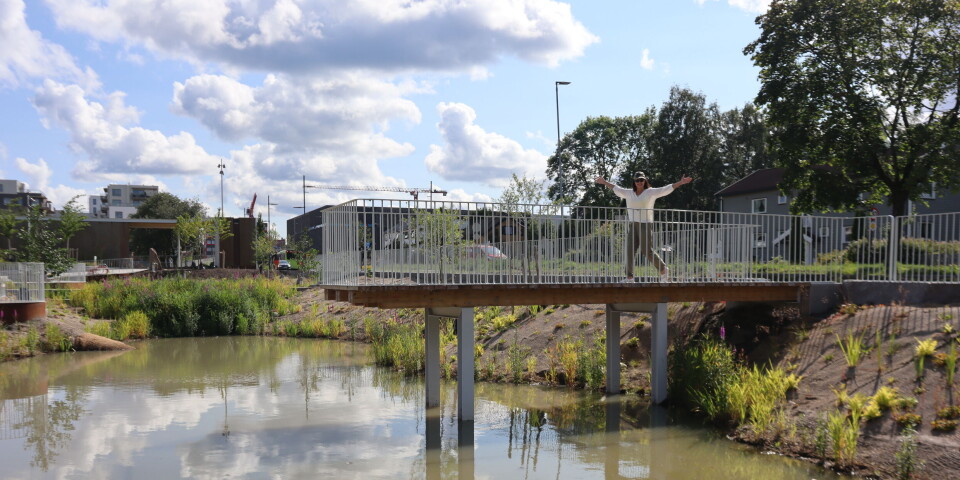 SKÅRERPIKEN PÅ BROEN: Parken har store åpne dammer som skal fylles med vann ved store nedbørsmengder. Ved behov vil nesten hele parken være oversvømt på en kontrollert måte.