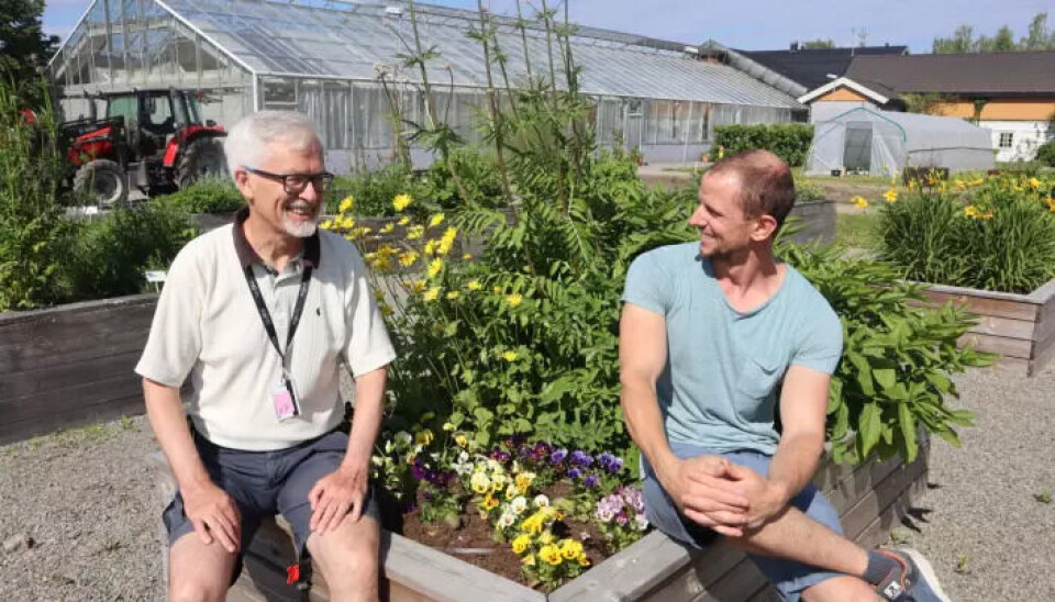 Bent Braskerud, sjefsingeniør i Oslo kommune VAV, og Magnus Nyheim, anleggsgartnertekniker og faglærer på Vea, er kursholdere.