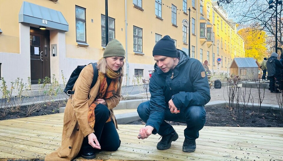 Landskapsarkitekt Jens Åke Jensen i Bymiljøetaten viser frem elvegrus som er et miljøvennlig alternativ til gummigranulat til Elin Vang Kristiansen, rådgiver for universell utforming i Norges Handikapforbund Oslo.