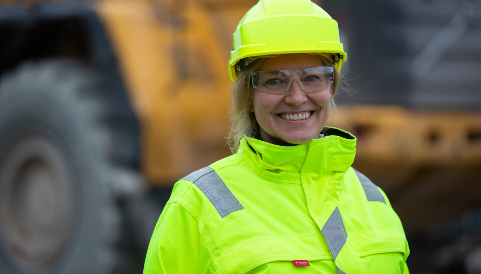 Strategisk leder i en teknisk bransje