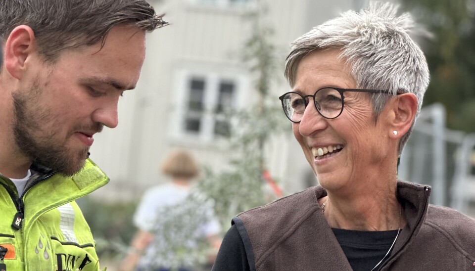 Liselott og studeny