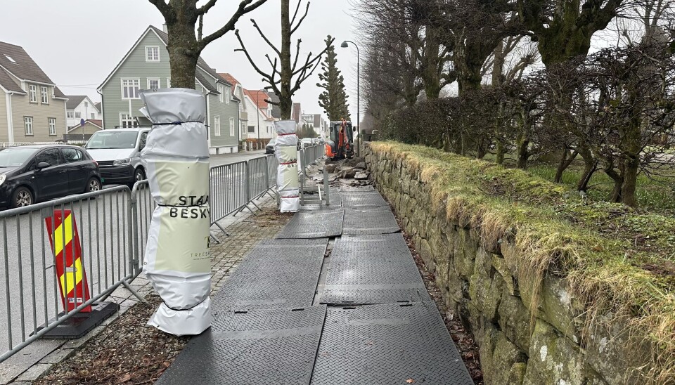 Stammematter og kjøreplater brukes som forebyggende tiltak for å beskytte urbane trær mot anleggsskader. Stammematter skjermer bark og kambium, mens kjøreplater reduserer trykk og jordkomprimering i rotsonen.