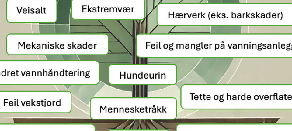 Abiotiske og biotiske sammenhenger