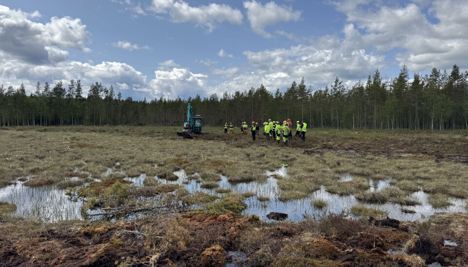 Fra myrrestaureringskurs i regi av Norges grønne fagskole - Vea