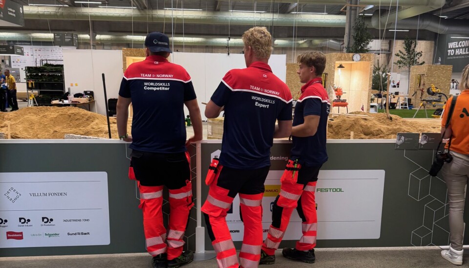 Espen, Fabian og Jørgen ser over gjerdet mot arbeidsområdet hvor oppgavene de neste dagene skal løses.