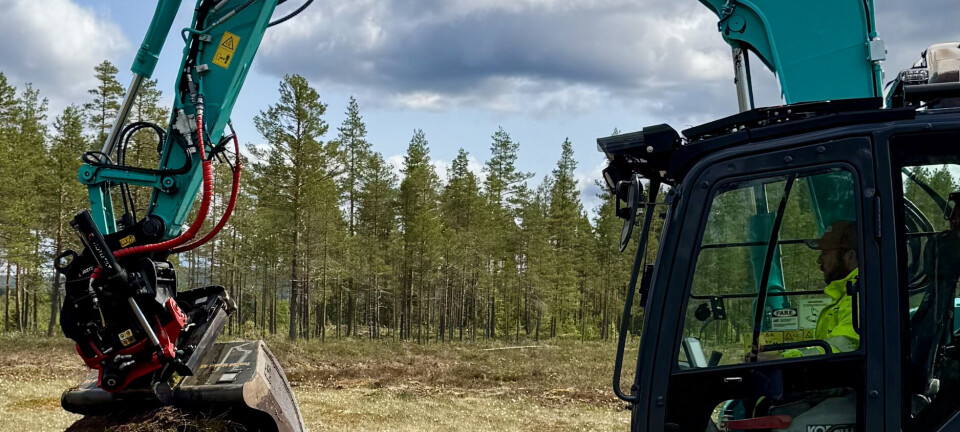 Jobben som gir både mosjon, naturopplevelser – og klimanytte