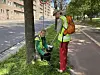 To personer i refleksvester plukker søppel ved et tre ved sykkelvei i byen.