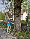 Person behandler en stor alm med DutchTrig ved en steinmur nær en kirke.
